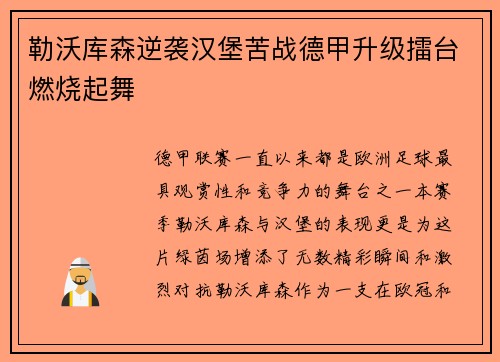勒沃库森逆袭汉堡苦战德甲升级擂台燃烧起舞