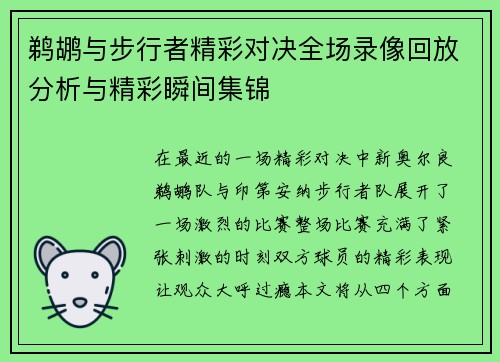 鹈鹕与步行者精彩对决全场录像回放分析与精彩瞬间集锦