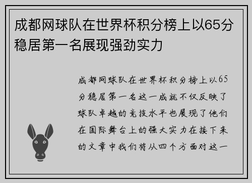 成都网球队在世界杯积分榜上以65分稳居第一名展现强劲实力